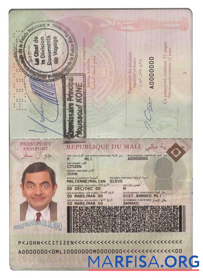 Printable Mali passport download for verification